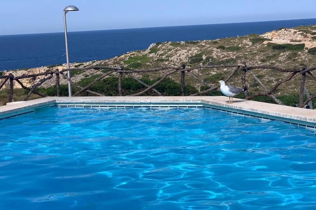 Apartamento A Estrenar Con Vistas Al Mar. Son Parc Kültér fotó